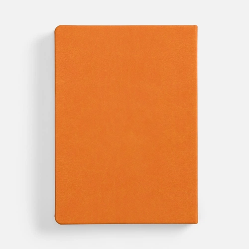 Ежедневник Basis, датированный, оранжевый