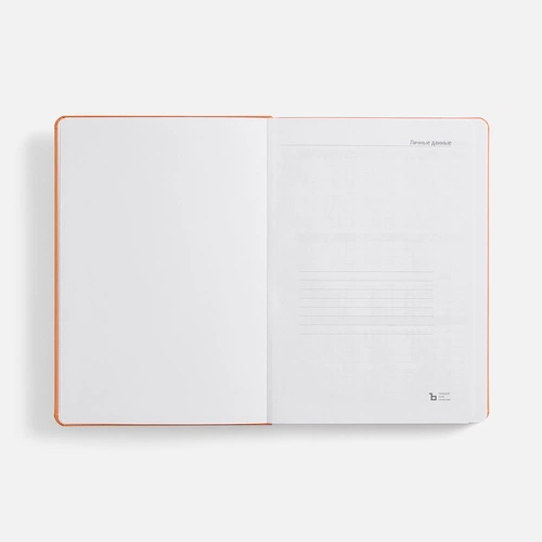 Ежедневник Basis, датированный, оранжевый