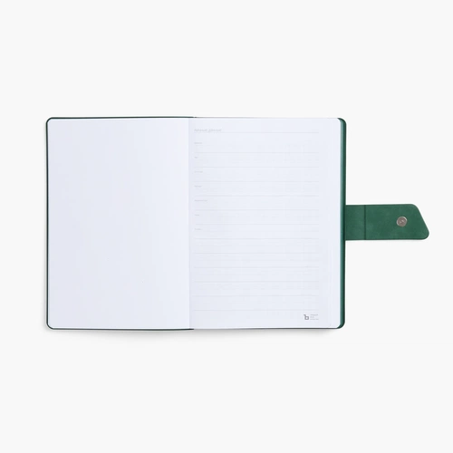 Ежедневник Boom, недатированный, черный с зеленым
