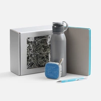 Набор Flexpen Flow, серый с бирюзовым