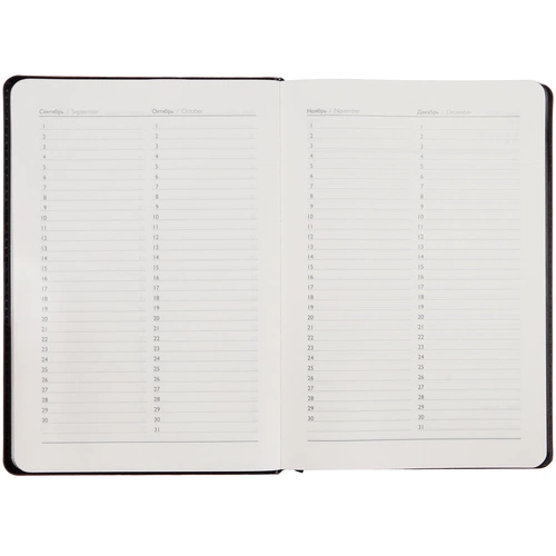 Ежедневник Alanis, недатированный, черный с синим