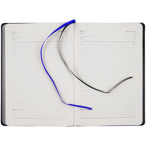 Ежедневник Alanis, недатированный, черный с синим