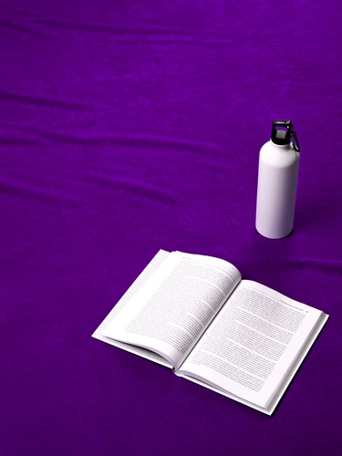 Дорожный плед Voyager 2, фиолетовый