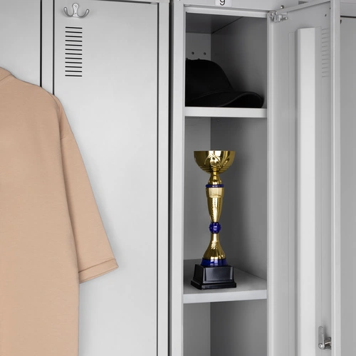 Кубок Awardee, малый, синий