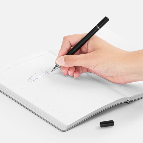 Ручка шариковая и вечный карандаш Diptych, черная