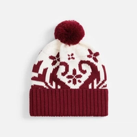 Шапка Wintertude