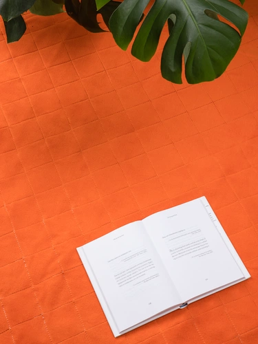 Плед для пикника Soft & Dry 2, оранжевый