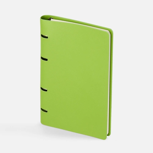 Ежедневник Ringo, недатированный, зеленый