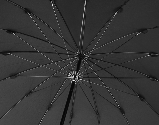 Зонт-трость Big Boss, черный