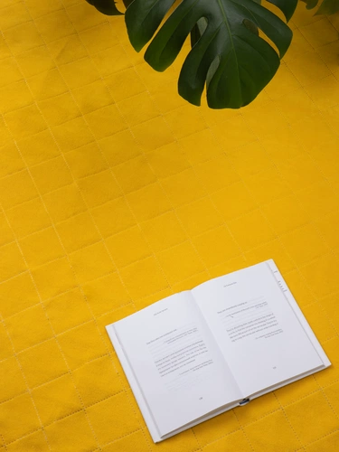 Плед для пикника Soft & Dry 2, желтый