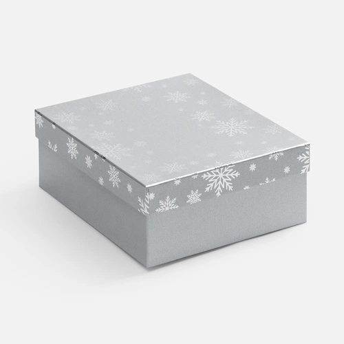 Коробка Wintry, серебристая