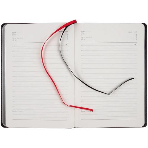 Ежедневник Alanis, недатированный, черный с красным