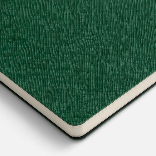 Ежедневник Lungo, недатированный, зеленый