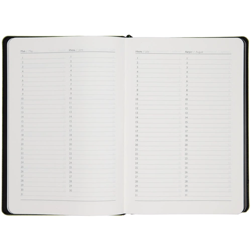 Ежедневник Alanis, недатированный, черный с зеленым