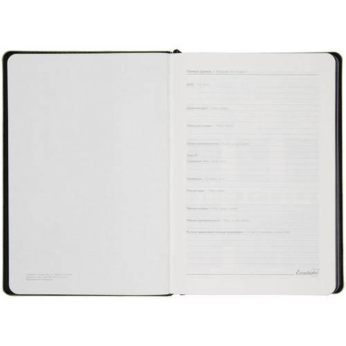 Ежедневник Alanis, недатированный, черный с зеленым