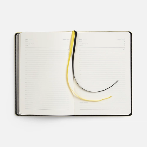 Ежедневник Alanis, недатированный, черный с желтым