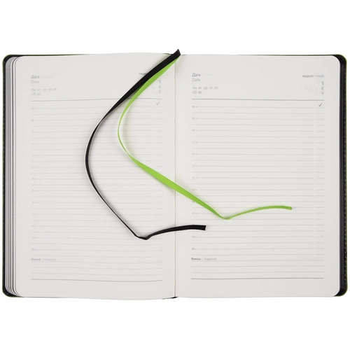 Ежедневник Alanis, недатированный, черный с зеленым