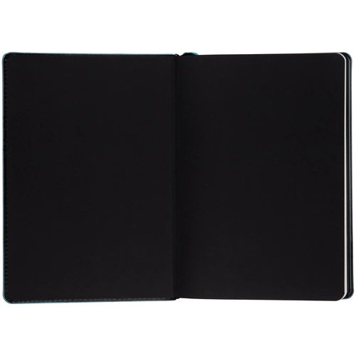 Ежедневник Alanis, недатированный, черный с голубым