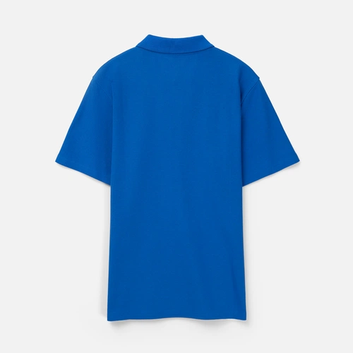 Рубашка поло унисекс Tervise, ярко-синяя