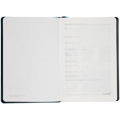 Ежедневник Alanis, недатированный, черный с голубым