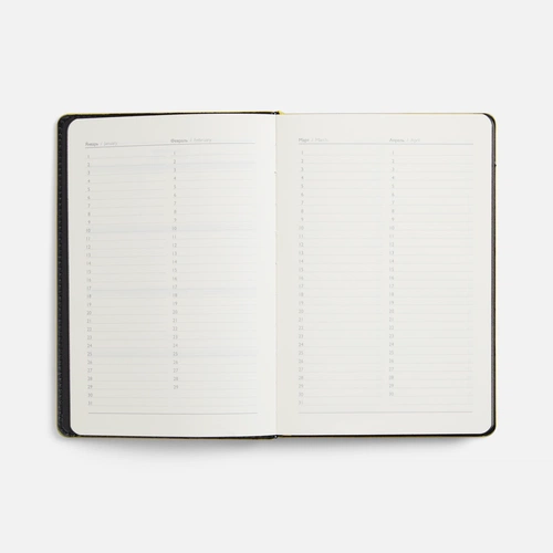 Ежедневник Alanis, недатированный, черный с желтым