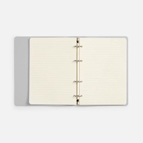 Ежедневник Ringo, недатированный, серебристый