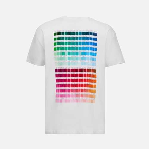 Футболка T-bolka 160 с DTG-печатью Kornit Color Сhart 1, белая, размер L