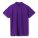 1898.77 - Рубашка поло мужская Spring 210, темно-фиолетовая