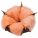 15075.20 - Цветок хлопка Cotton, оранжевый