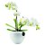 Горшок для орхидеи Orchid Pot, белый