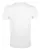 Футболка мужская Regent Fit 150, белая