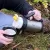 Термос Thermos FDH, стальной